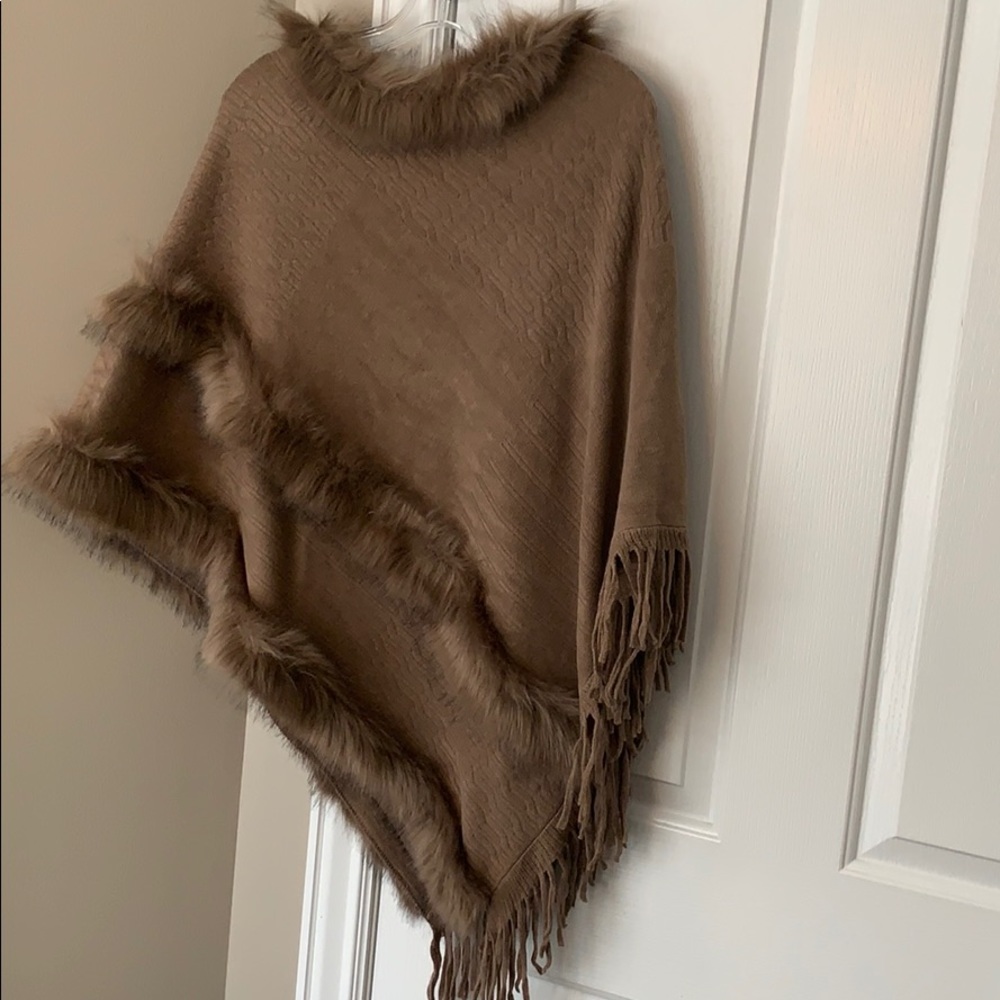 Pancho - Picture 4 of 4